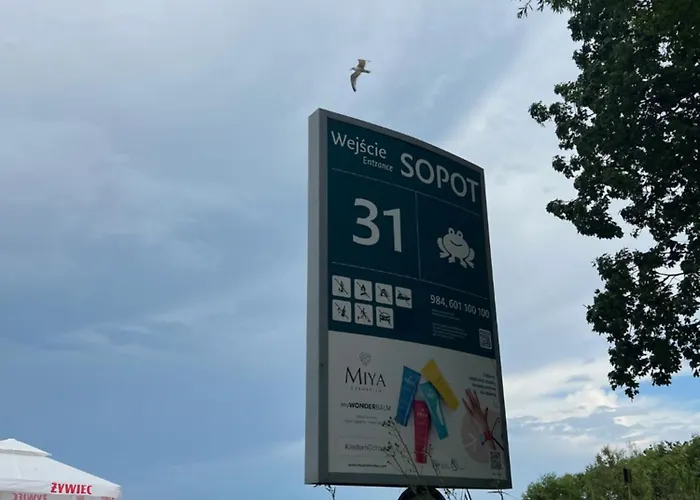 Mieszkanie - 8 Pietro Z Widokiem Na Morze 아파트